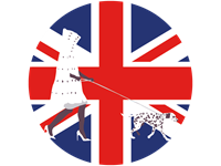 101 далматинец и Круэлла: разница между британским и американским вариантом английского языка